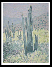 Desert's Garden