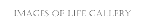 Images of Life Collection