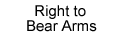 Right to Bear Arms
