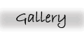 E W Walsh's Gallery
