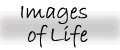 Images of Life Collection