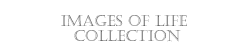 Images of Life Collection